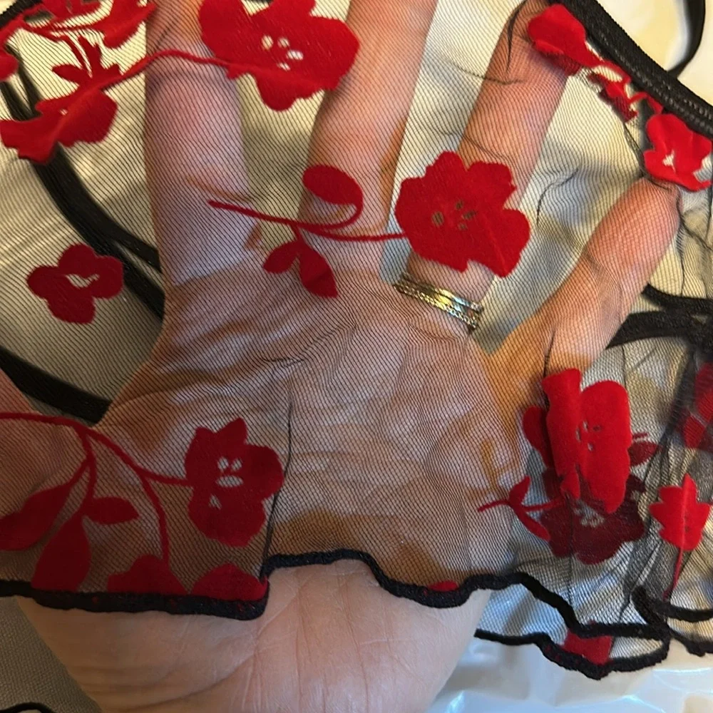 Sheer Black and red bralette and underwear set BNWT - Picture 2 of 5